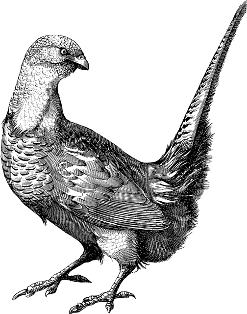 Ébauche du logo